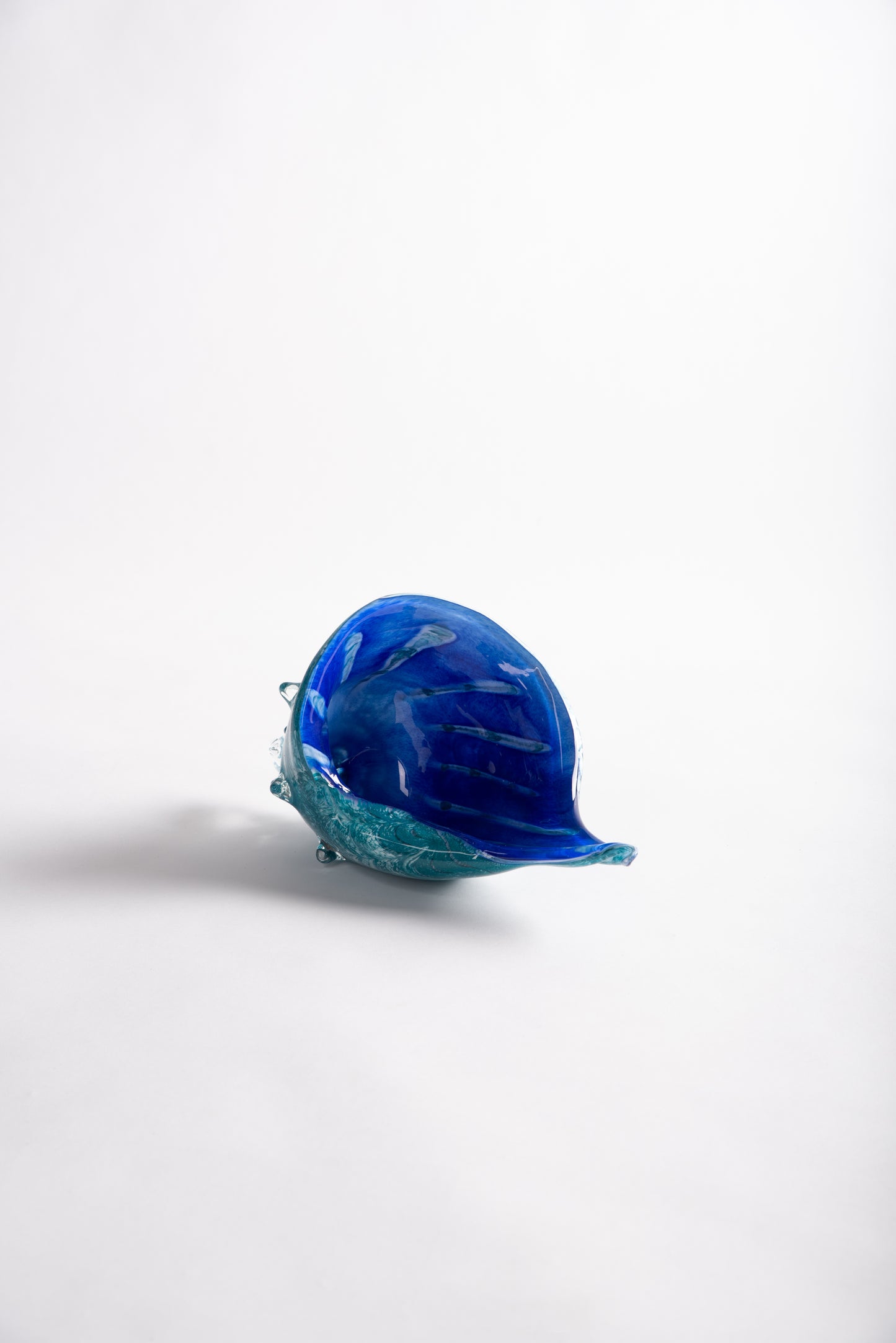 Turquoise Glass Seashells