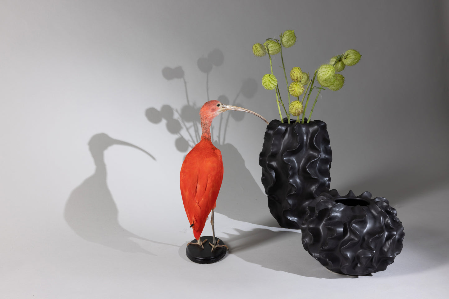 Sculptural Ceramic Vase in Black - Medium