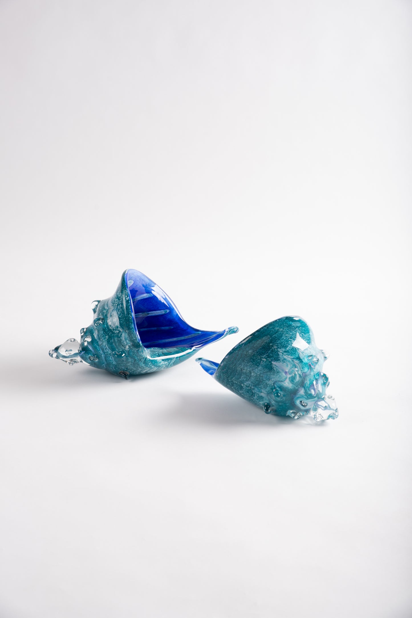 Turquoise Glass Seashells